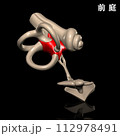 人体の前庭 112978491