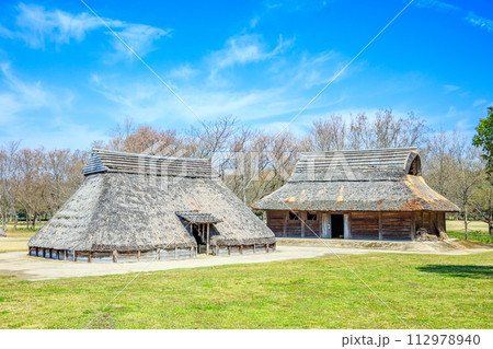 春の平塚川添遺跡　福岡県朝倉市 112978940