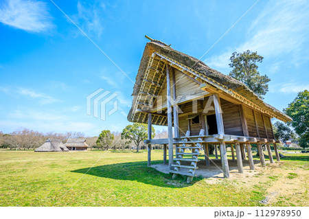 春の平塚川添遺跡　福岡県朝倉市 112978950