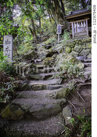 御本殿参道（縦） 112979406