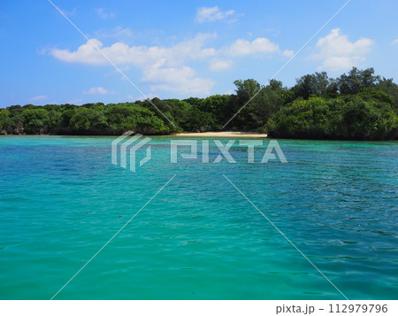 美しいエメラルドグリーンの海が広がる川平湾の風景 112979796