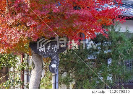 秋の京都　祇王寺へむかう参道と紅葉 112979830