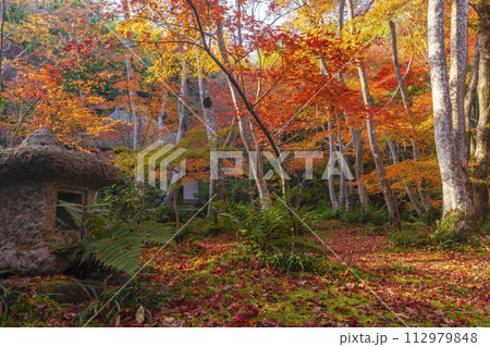 京都 祇王寺 紅葉 京都 祇王寺 紅葉 112979848
