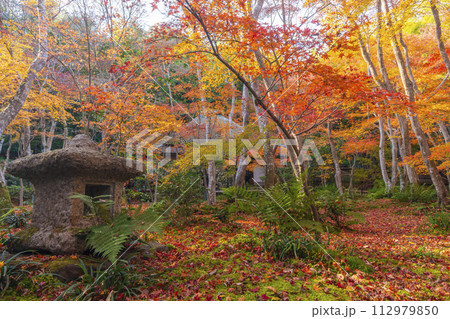 京都　祇王寺　紅葉 112979850