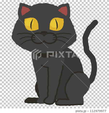 おとなしく座る黒猫 112979977