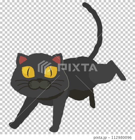 奔跑的黑貓 112980096