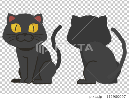 黑貓正面和背面圖 112980097