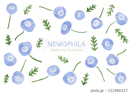 ネモフィラの水彩イラストパーツセット ネモフィラの水彩イラストパーツセット 112980327
