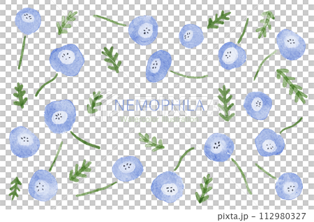 ネモフィラの水彩イラストパーツセット ネモフィラの水彩イラストパーツセット 112980327