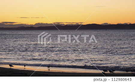 三浦海岸の朝焼け 三浦海岸の朝焼け 112980643