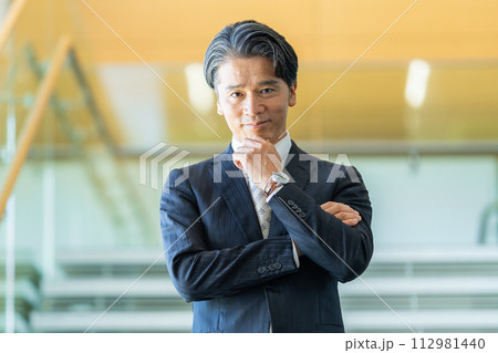 スーツのミドル男性　スーツ姿の会社員 112981440