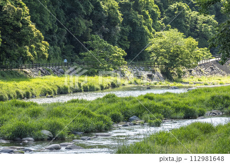 新緑と清流の三朝温泉 112981648