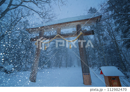 長野県長野市 雪が降る冬の戸隠神社の杉並木 長野県長野市 雪が降る冬の戸隠神社の杉並木 112982470