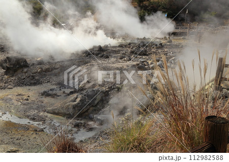 秋の雲仙地獄の清七地獄の風景 ( 11月 / 長崎県 雲仙市 ) 112982588