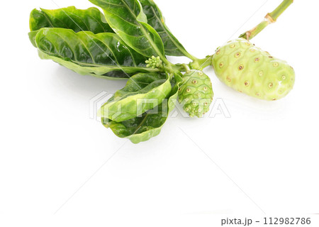Noni 5 Noni 5 112982786