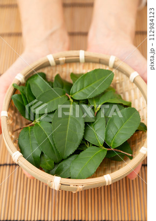 生の緑茶葉を持つ女性の手 生の緑茶葉を持つ女性の手 112984123