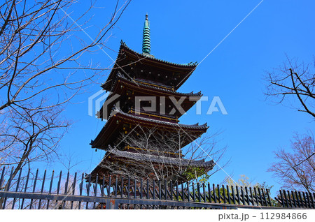 旧寛永寺五重塔　上野 112984866