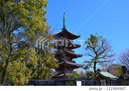 旧寛永寺五重塔　上野恩賜公園 112984867