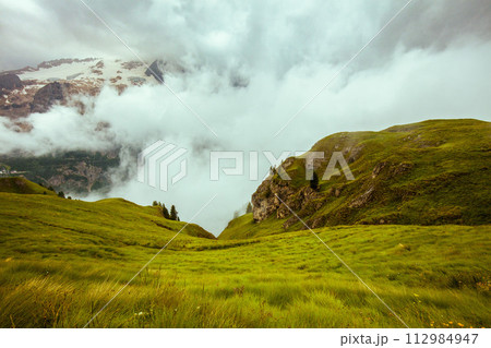 landscape with grass and fog 112984947