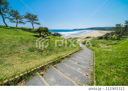 「青森県」大須賀海岸・八戸市種差海岸 「青森県」大須賀海岸・八戸市種差海岸 112985321