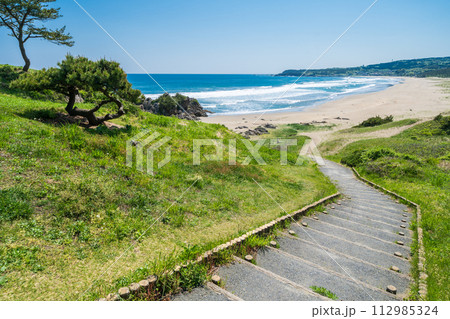 「青森県」大須賀海岸・八戸市種差海岸 「青森県」大須賀海岸・八戸市種差海岸 112985324