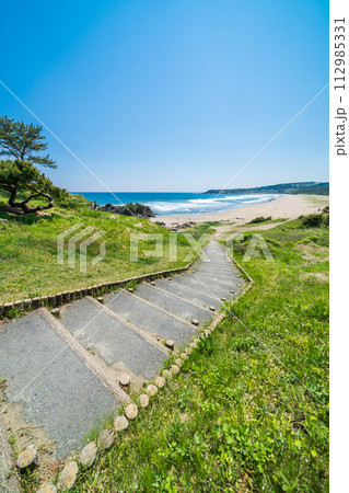 「青森県」大須賀海岸・八戸市種差海岸 112985331