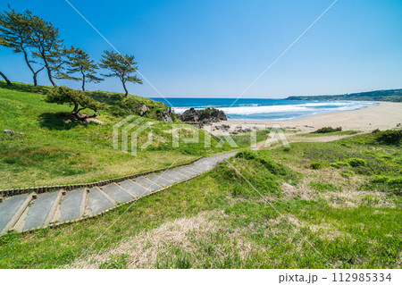 「青森県」大須賀海岸・八戸市種差海岸 112985334