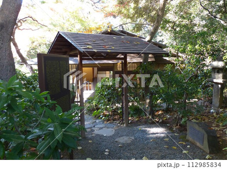 東京都庭園美術館  東京都港区白金台　旧朝香宮邸公益財団法人東京都歴史文化財団　庭園　池　林　新館  112985834