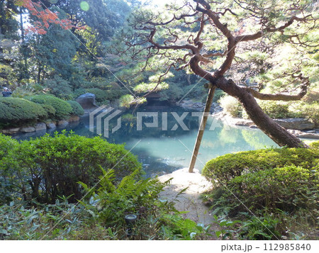 東京都庭園美術館  東京都港区白金台　旧朝香宮邸公益財団法人東京都歴史文化財団　庭園　池　林　新館  112985840
