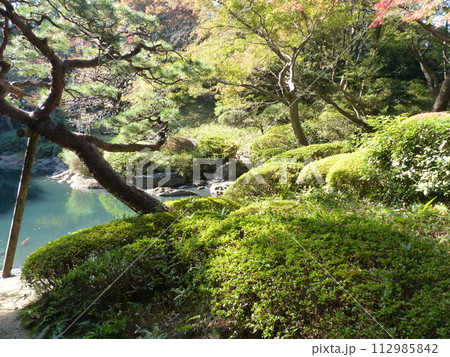 東京都庭園美術館  東京都港区白金台　旧朝香宮邸公益財団法人東京都歴史文化財団　庭園　池　林　新館  112985842