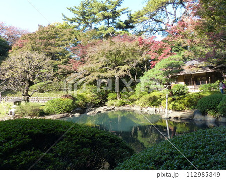 東京都庭園美術館 東京都港区白金台 旧朝香宮邸公益財団法人東京都歴史文化財団 庭園 池 林 新館 東京都庭園美術館 東京都港区白金台 旧朝香宮邸公益財団法人東京都歴史文化財団 庭園 池 林 新館 112985849