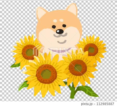 犬とヒマワリのイラスト素材 [112985887] - PIXTA