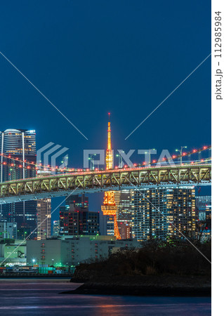 「東京都」夜景・お台場からレインボーブリッジを望む 112985984
