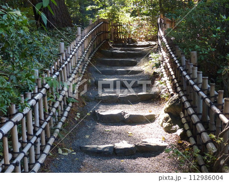 東京都庭園美術館  東京都港区白金台　旧朝香宮邸公益財団法人東京都歴史文化財団　庭園　池　林　新館  112986004