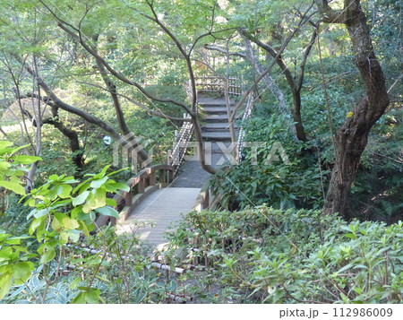 東京都庭園美術館  東京都港区白金台　旧朝香宮邸公益財団法人東京都歴史文化財団　庭園　池　林　新館  112986009