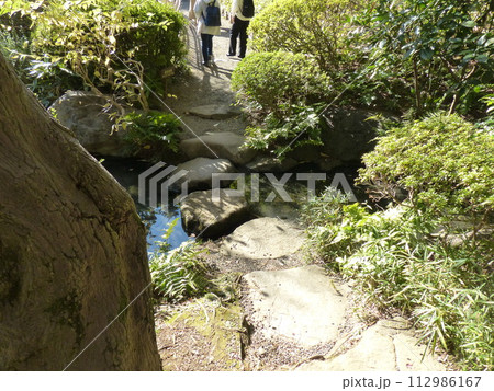東京都庭園美術館  東京都港区白金台　旧朝香宮邸公益財団法人東京都歴史文化財団　庭園　池　林　新館  112986167