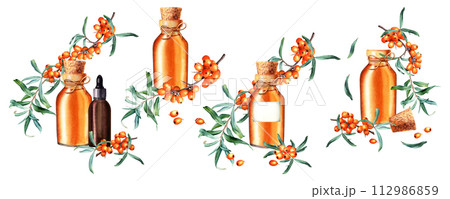 A set of compositions with sea buckthorn plant and glass oil bottles. Hand drawn watercolor illustration isolated on white. For clip art template label A set of compositions with sea buckthorn plant and glass oil bottles. Hand drawn watercolor illustration isolated on white. For clip art template label 112986859