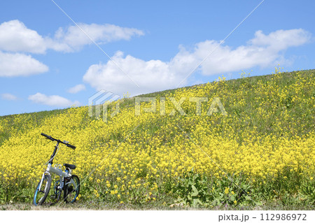 河川敷の菜の花畑と自転車 河川敷の菜の花畑と自転車 112986972