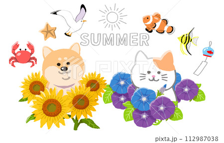 夏の犬と猫 112987038