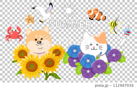 夏の犬と猫 112987038