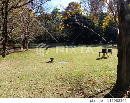 東京都庭園美術館  東京都港区白金台　旧朝香宮邸公益財団法人東京都歴史文化財団　庭園　池　林　新館  112988363