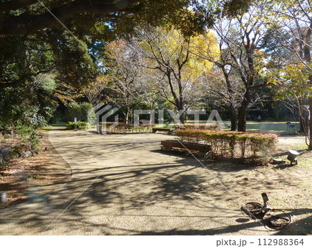 東京都庭園美術館  東京都港区白金台　旧朝香宮邸公益財団法人東京都歴史文化財団　庭園　池　林　新館  112988364
