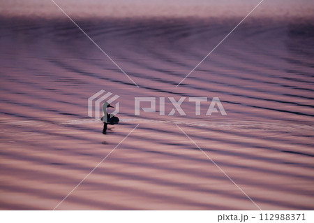 千波湖 千波湖 112988371