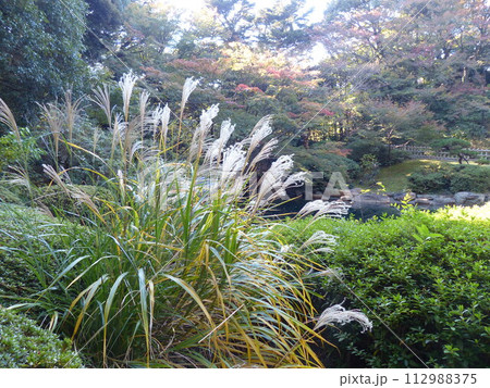 東京都庭園美術館  東京都港区白金台　旧朝香宮邸公益財団法人東京都歴史文化財団　庭園　池　林　新館  112988375