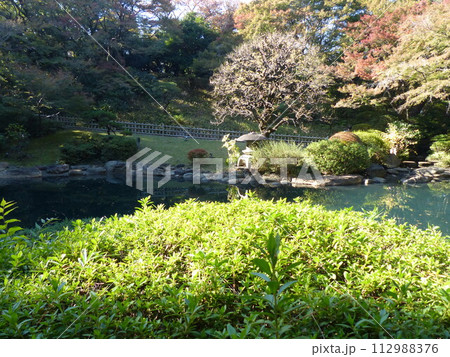 東京都庭園美術館  東京都港区白金台　旧朝香宮邸公益財団法人東京都歴史文化財団　庭園　池　林　新館  112988376