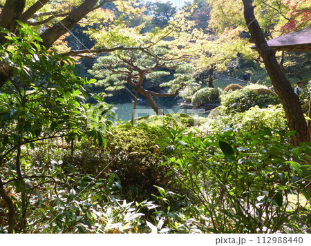 東京都庭園美術館 東京都港区白金台 旧朝香宮邸公益財団法人東京都歴史文化財団 庭園 池 林 新館 東京都庭園美術館 東京都港区白金台 旧朝香宮邸公益財団法人東京都歴史文化財団 庭園 池 林 新館 112988440