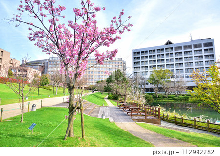 福岡工業大学　福工大　福岡市東区和白東3丁目30-1 112992282