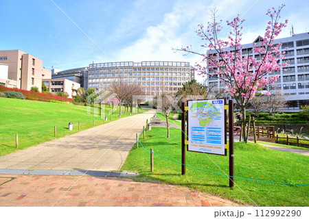 福岡工業大学　福工大　福岡市東区和白東3丁目30-1 112992290