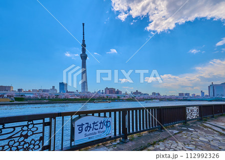 春の東京都台東区今戸1丁目から隅田川越しに桜咲く墨田区向島2丁目方面を見る 112992326
