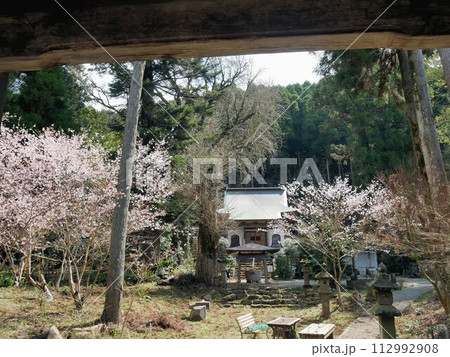 飯田山常楽寺 春の境内と桜 (熊本県益城町) 飯田山常楽寺 春の境内と桜 (熊本県益城町) 112992908